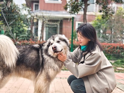 “青心系萌宠，志愿暖同行”——yl23411永利集团青年志愿者开展流浪动物关爱志愿服务活动